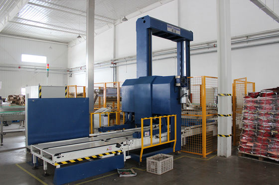 Machine van roestvrij staal de Mechanische Automatische Palletizer